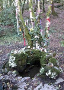 Tobar na Sul holy well with its sacred tree festooned with colorful prayer cloths at Lough Hyne in Ireland.