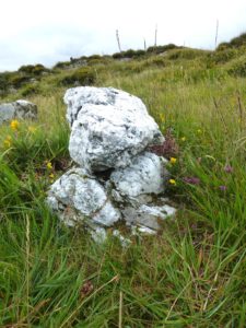 A white quartz boulder in grass with wildflowers on a hillside