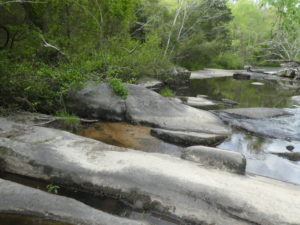 Rock, trees, water of Mitchell Mill SNA in Sacred Ground: A Whale of a Tale
