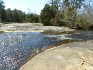 Cedar Prong Creek at Mitchell Mill SNA in Sacred Ground: A Whale of a Tale