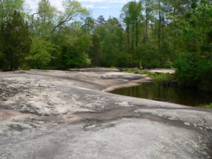 Granite flatrock, water, trees at Mitchell Mill SNA in Sacred Ground: A Whale of a Tale