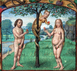Serpent giving Eve the apple, Book of Hours Brugesor, Ghent 15thc