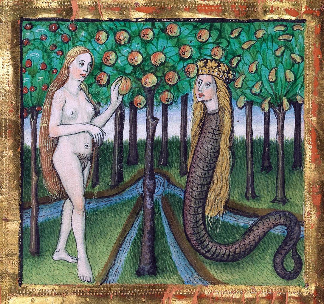 Queen Snake apple Eve Furtmeyr Bible, Bavarian State LibraryFurtmeyr Bible, Regensburg, after 1465, München BSB Cgm 8010a fol. 10r