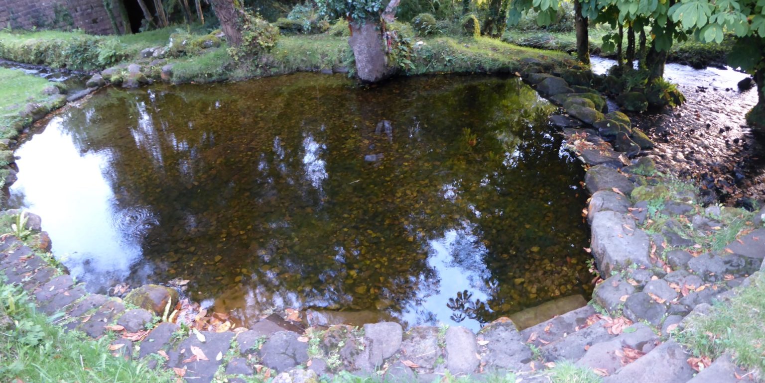 Wetlands: Holy Wells and Sacred Springs - EarthSanctuaries